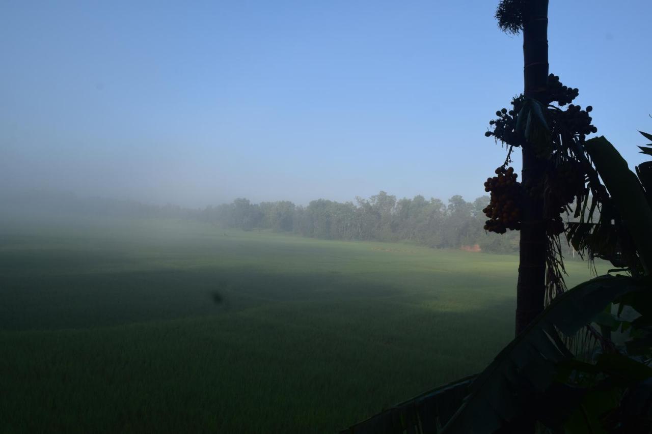 IBBANI Homestay, Siddapur Luaran gambar