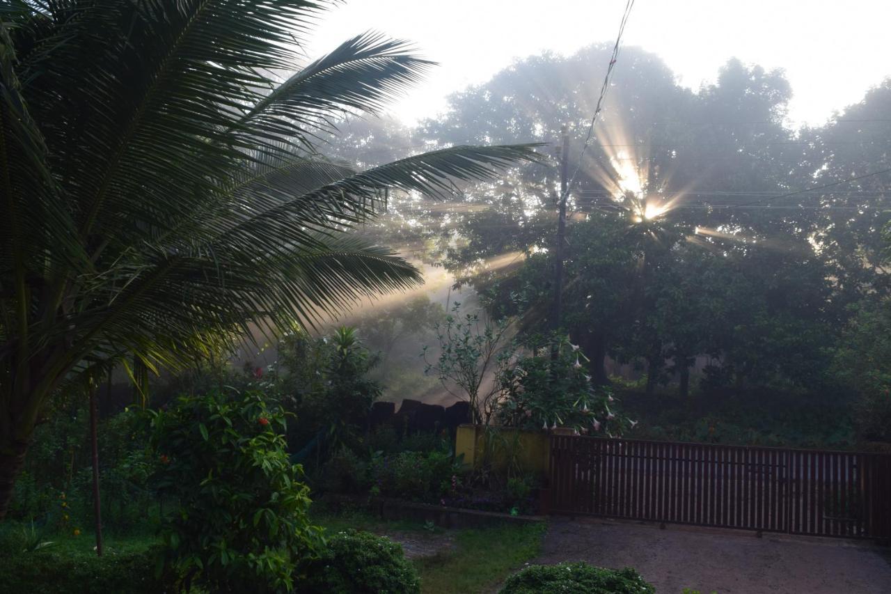 IBBANI Homestay, Siddapur Luaran gambar