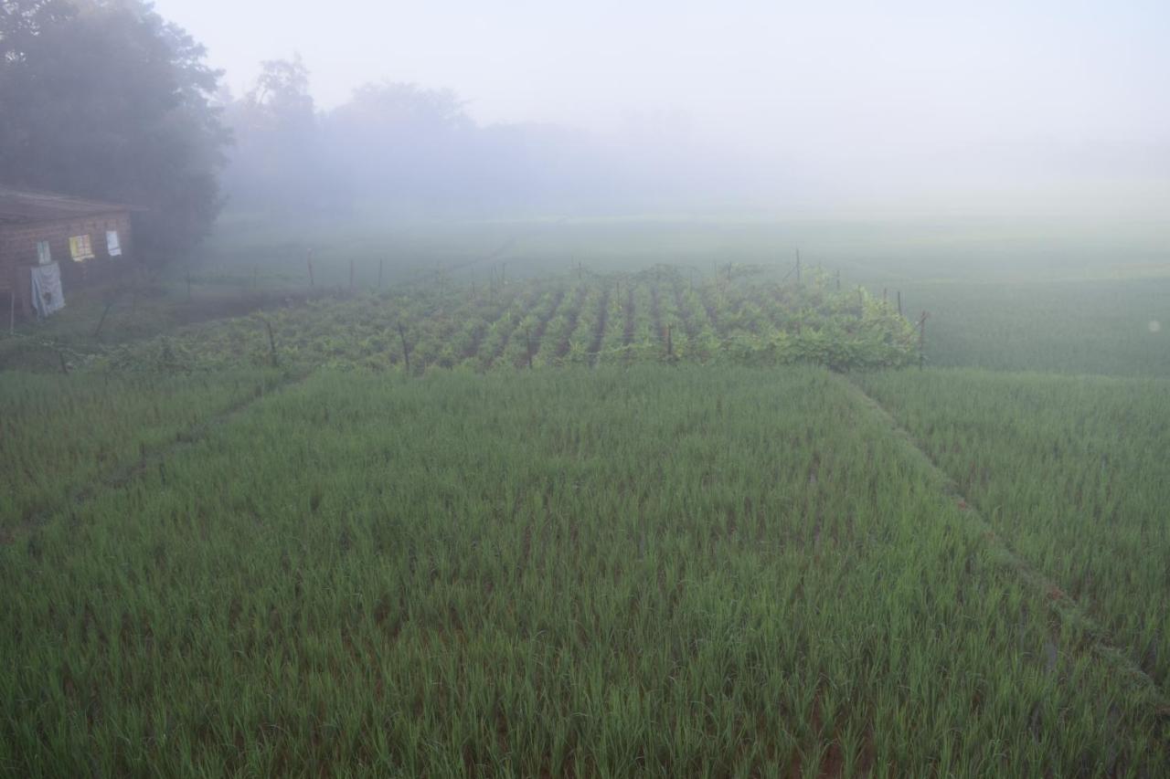 IBBANI Homestay, Siddapur Luaran gambar