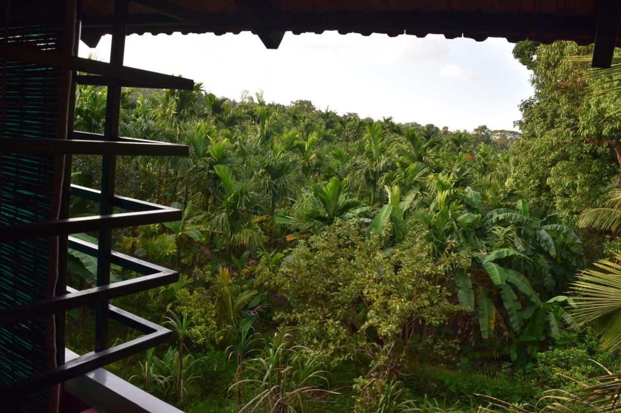 IBBANI Homestay, Siddapur Luaran gambar