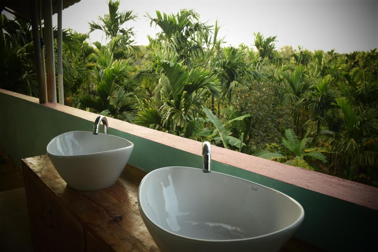 IBBANI Homestay, Siddapur Luaran gambar