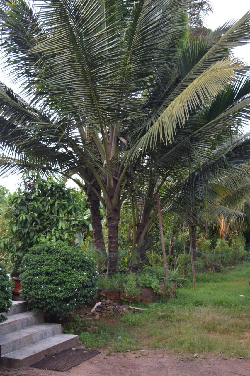 IBBANI Homestay, Siddapur Luaran gambar
