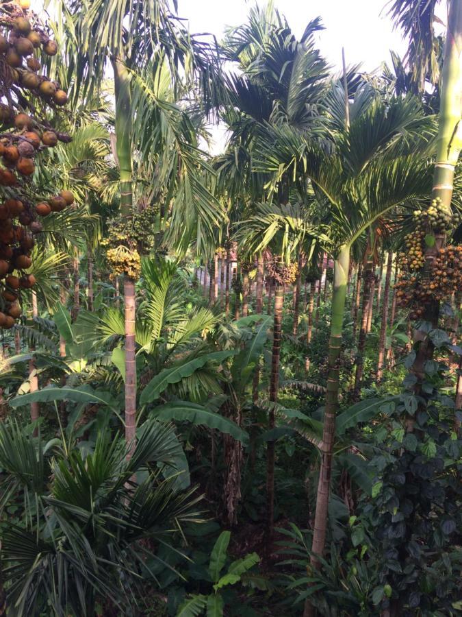 IBBANI Homestay, Siddapur Luaran gambar