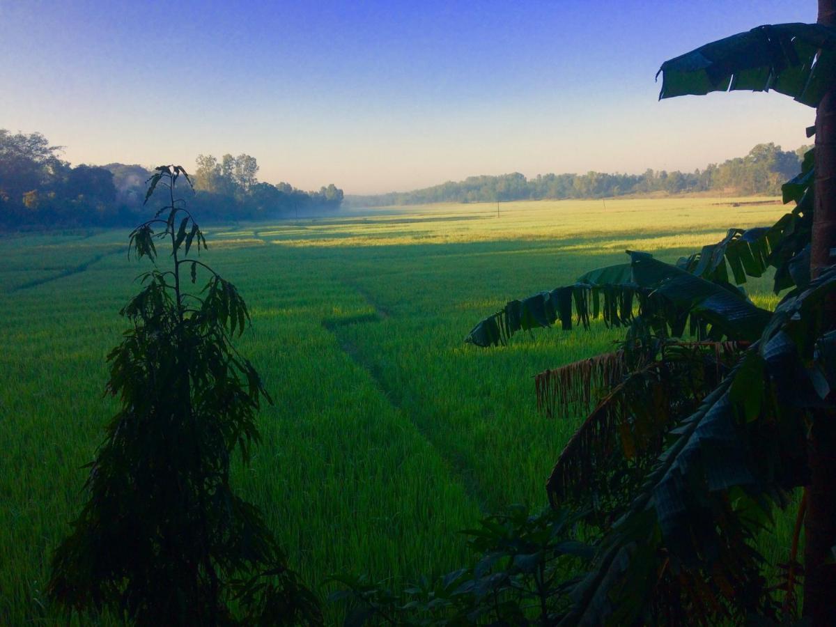 IBBANI Homestay, Siddapur Luaran gambar