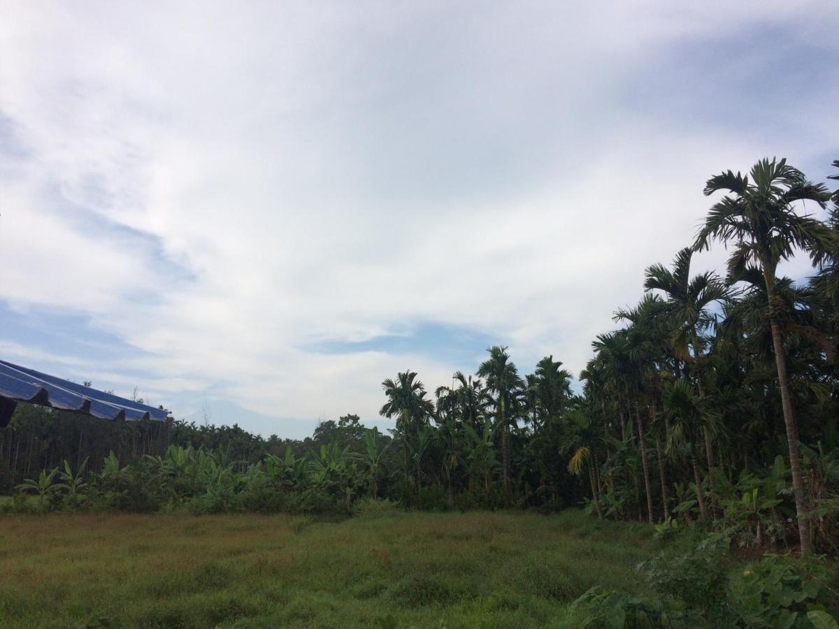 IBBANI Homestay, Siddapur Luaran gambar